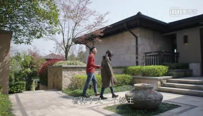 「都挺好」姚晨到底多有钱？我算出来了