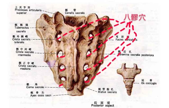 冰冷的世界感受一丝温暖,冰冷的世界有一丝温暖