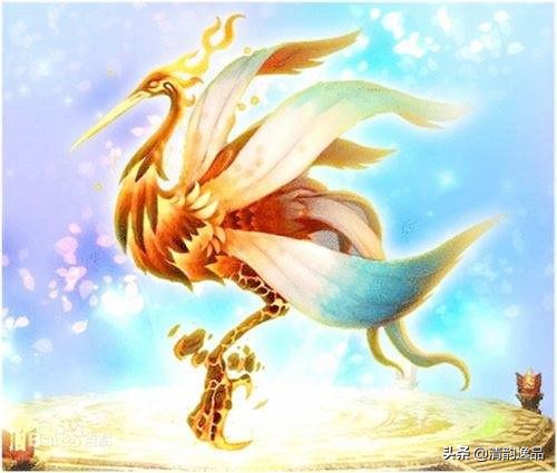 四海八荒十二大神兽，你了解几个？大多数人只知道凤凰