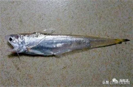 十种最美味海鲜,100种常见海鲜大全图