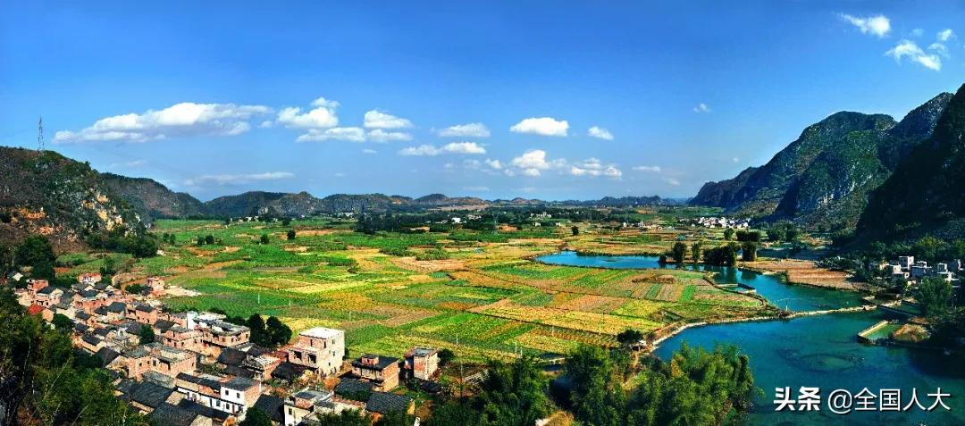 罗朝阳：让“梦里壮乡”的生活越过越有盼头！