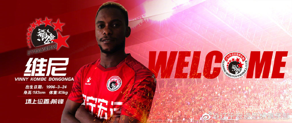 申花徐友刚,徐友刚辽足