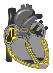 钥匙是怎么打开,钥匙打开锁的原理是什么