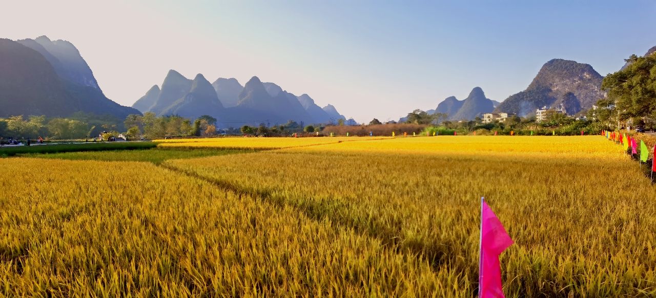 秋天的回忆完整版,秋天的回忆歌曲