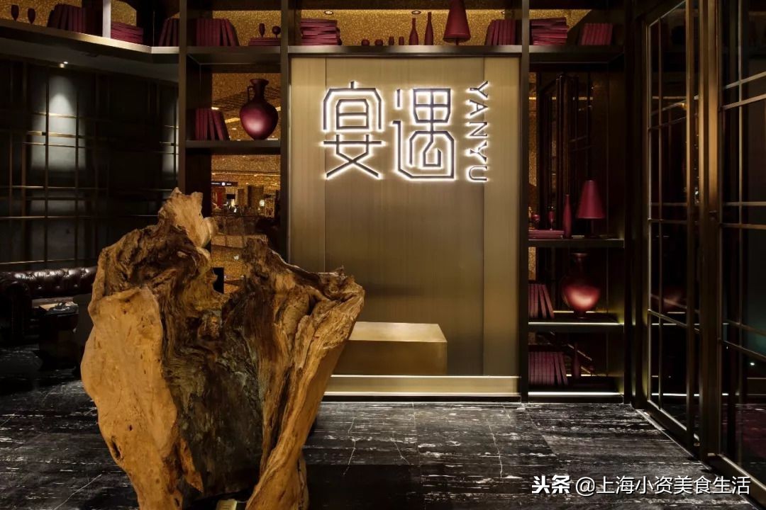 大锦鲤top店,大锦鲤适合吃的鱼食