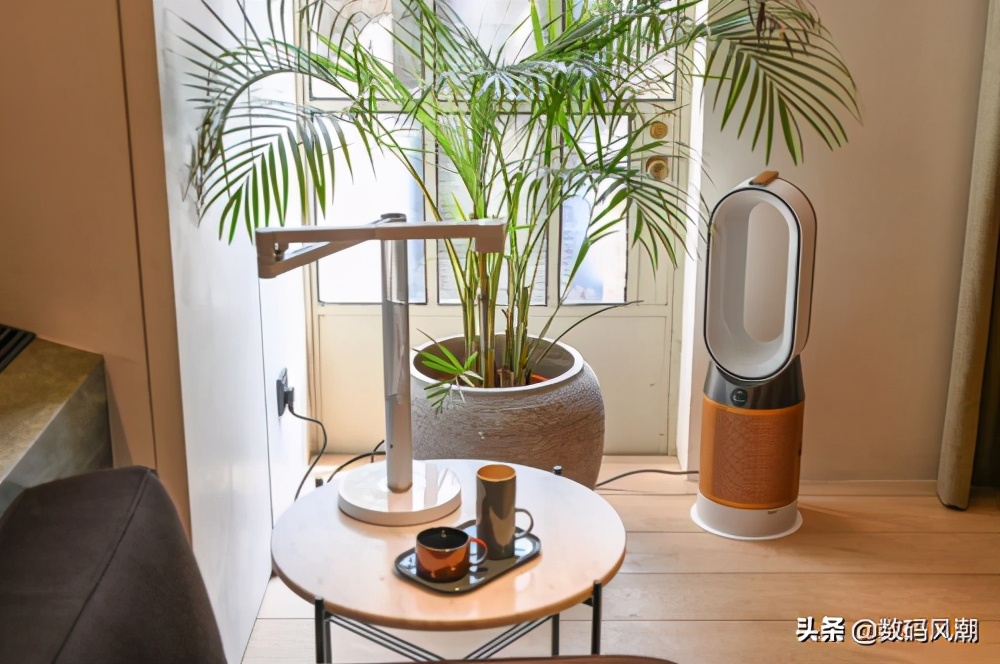 中国人这么怕它“脏”,真不是小题大做