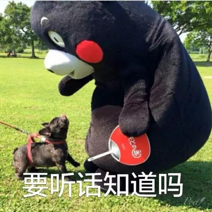 头痛英文名,脑阔疼系列