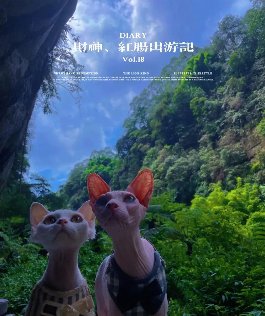 国庆成都周边旅游攻略推荐,成都周边旅游国庆2-3天推荐地方