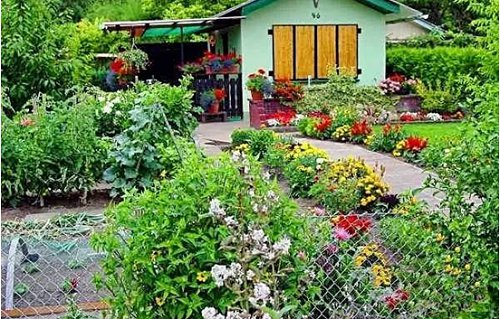 农村创业点子大全,农村创业新点子