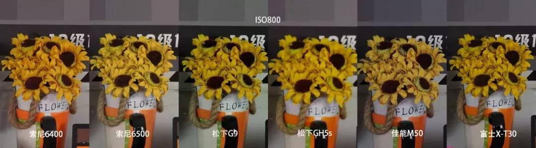 横评|索尼A6400、A6500、松下G9、GH5S、富士X-T30和佳能M50