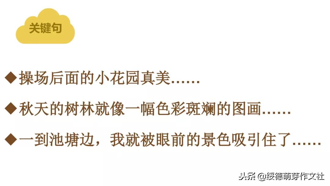 三年级上册语文这儿真美作文200字,三年级上册语文习作这儿真美