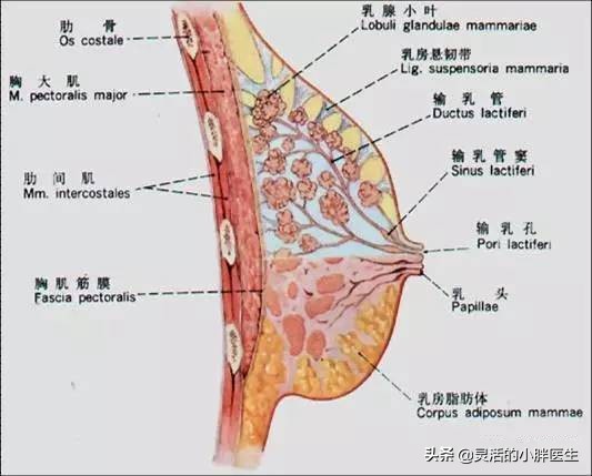 年轻女孩最关心哪些问题,了解女朋友的基本问题笔记