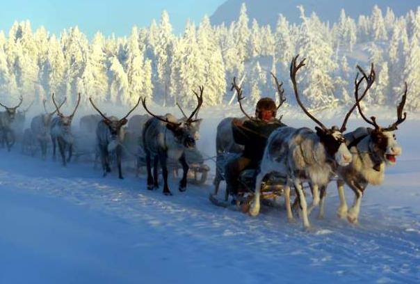 世界上最冷的地方有零下几度,盘点世界上最冷的地方