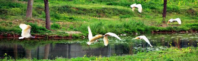 铜川:如今的小弟,曾经的老二,放在甘肃什么水平?
