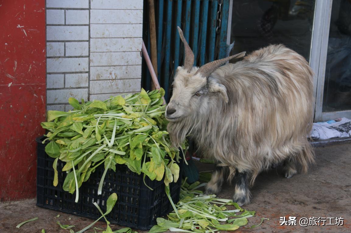 阿里的生活状态,阿里的生活
