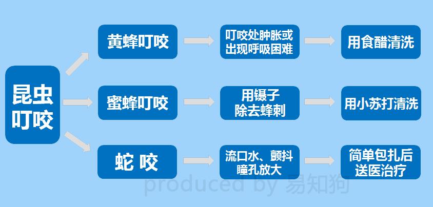 居家狗狗生活训练,日常护理狗狗皮肤不瘙痒