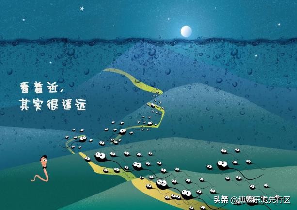 一组漫画告诉你：出生前，陪你进军的几亿精子大军都去哪了？