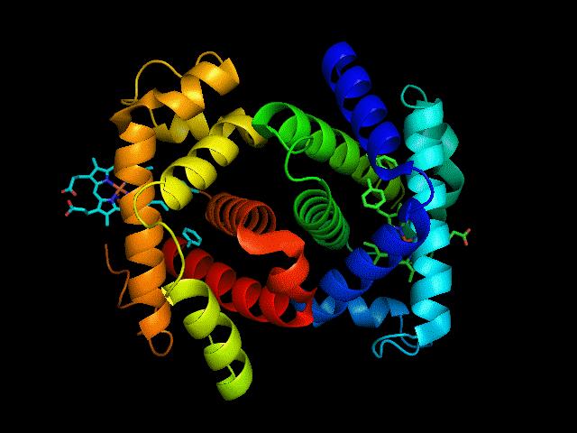 熊猫血人群的福音：“通用熊猫血”获得极大进展