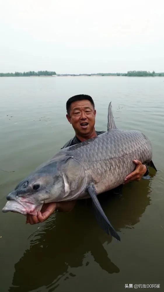 钓鱼界五大扛把子,钓鱼界的五大顶尖高手你更喜欢谁