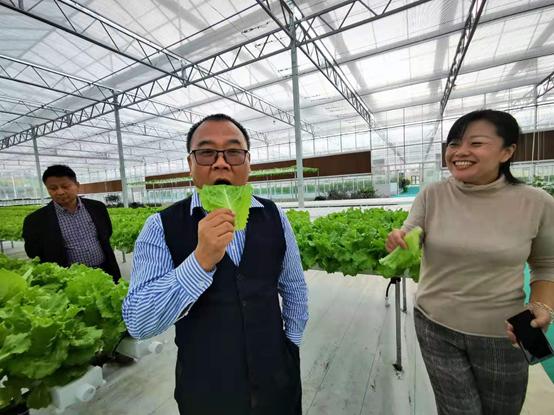 带你江西奉新看菜去，去了绝对不后悔