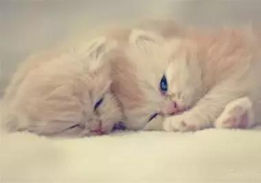 最容易读错的106个多音字赶快收藏,必背50个常见多音字你会几个