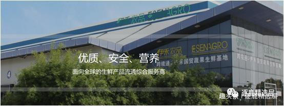 9个月股价涨超400%，疯狂的生鲜流通商伊禾农品