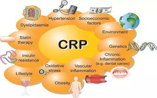 c反应蛋白crp高是哪里有炎症,血清c反应蛋白是查病毒还是细菌