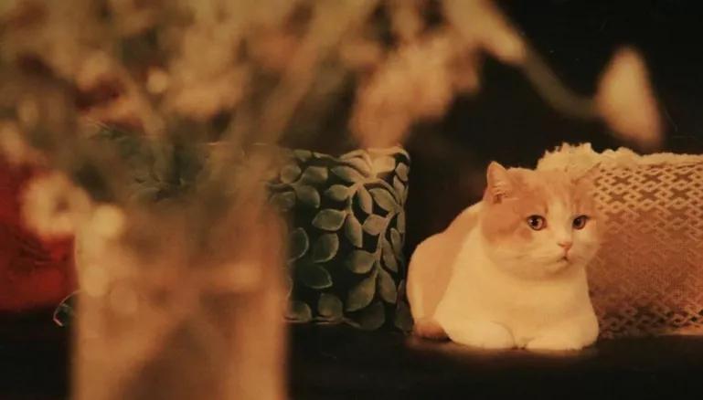 友情的尽头是孤独,一段渐行渐远的友情