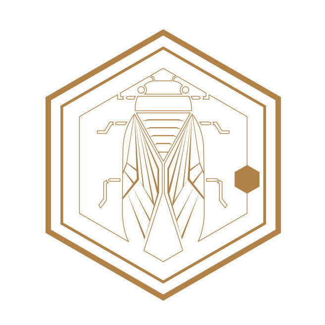 便宜又好用的手帐和社团胶带,手帐胶带分享推荐