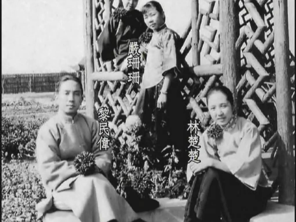 邵氏电影嘉禾现状,嘉禾与邵氏影视公司恩怨