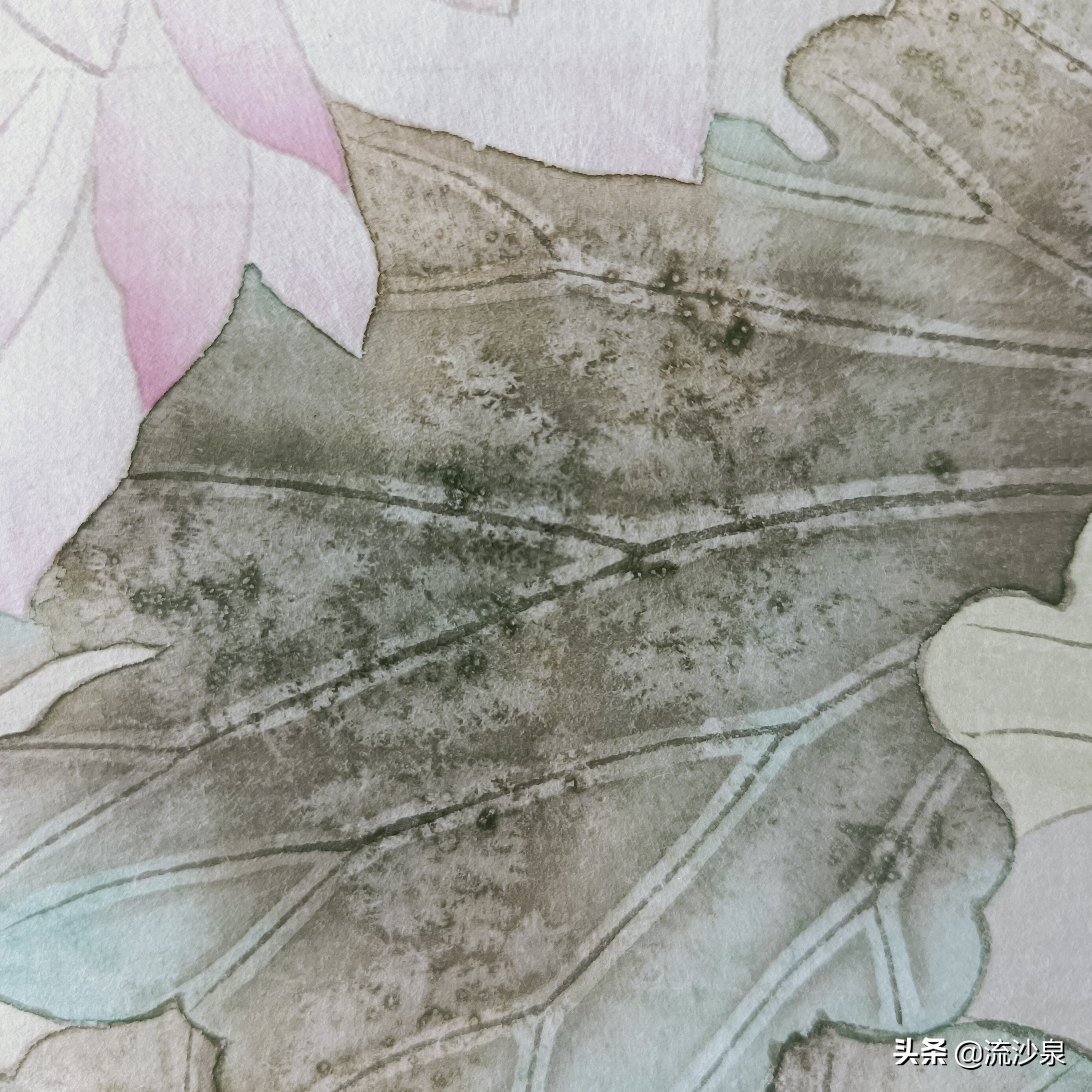 工笔画撒盐法的作品,工笔画上色如何撒盐