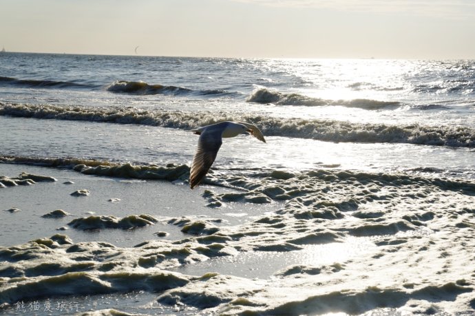 海牙国际法庭的位置,荷兰海牙国际法庭中国是成员吗
