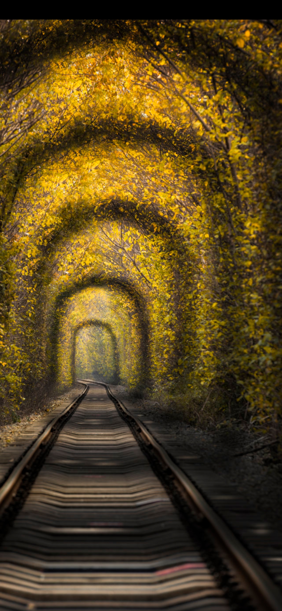 霸王举鼎实战,霸王举鼎杀伤力大吗
