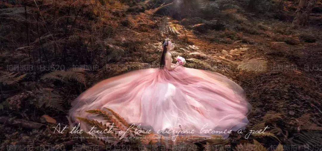 5套婚纱衣服怎么安排合适,婚纱照礼服男士5套是什么