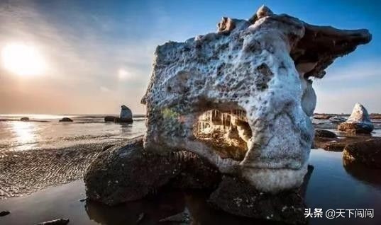 鲅鱼圈最强景点游玩攻略,鲅鱼圈旅游游玩攻略