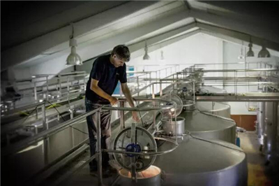 红葡萄酒酿造的一般工艺流程,红葡萄酒一般酿造流程