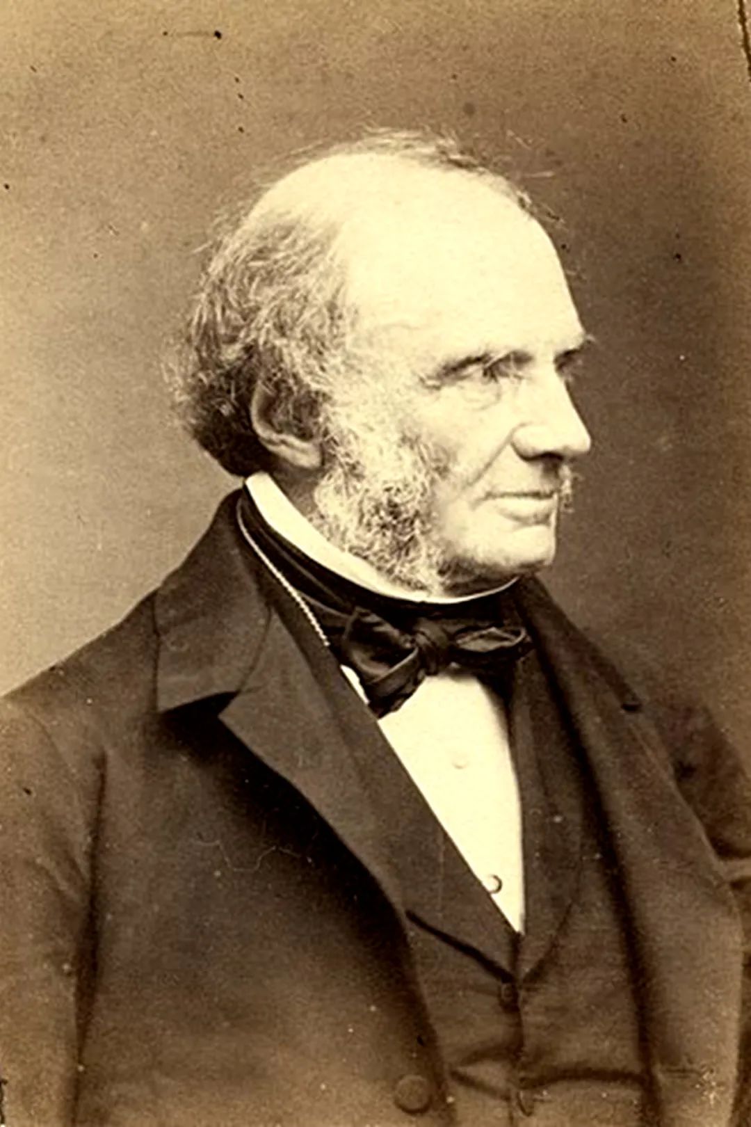 爱尔兰饥荒是由什么引起的,爱尔兰的饥荒是怎么回事