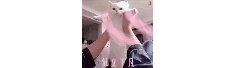 敷面膜就敷一款面膜,敷面膜也要皮一下