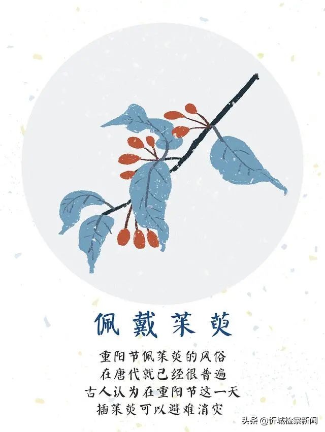 重阳节的来历及重阳节的习俗,重阳节来历及重阳节习俗