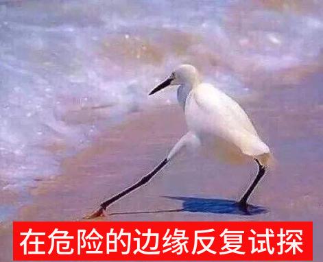 全国哪个女明星最漂亮,范冰冰代言娇兰有名么