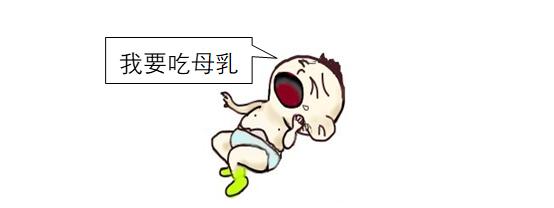 怎样增加哺乳妈妈的奶量,新手妈妈如何促进产奶量