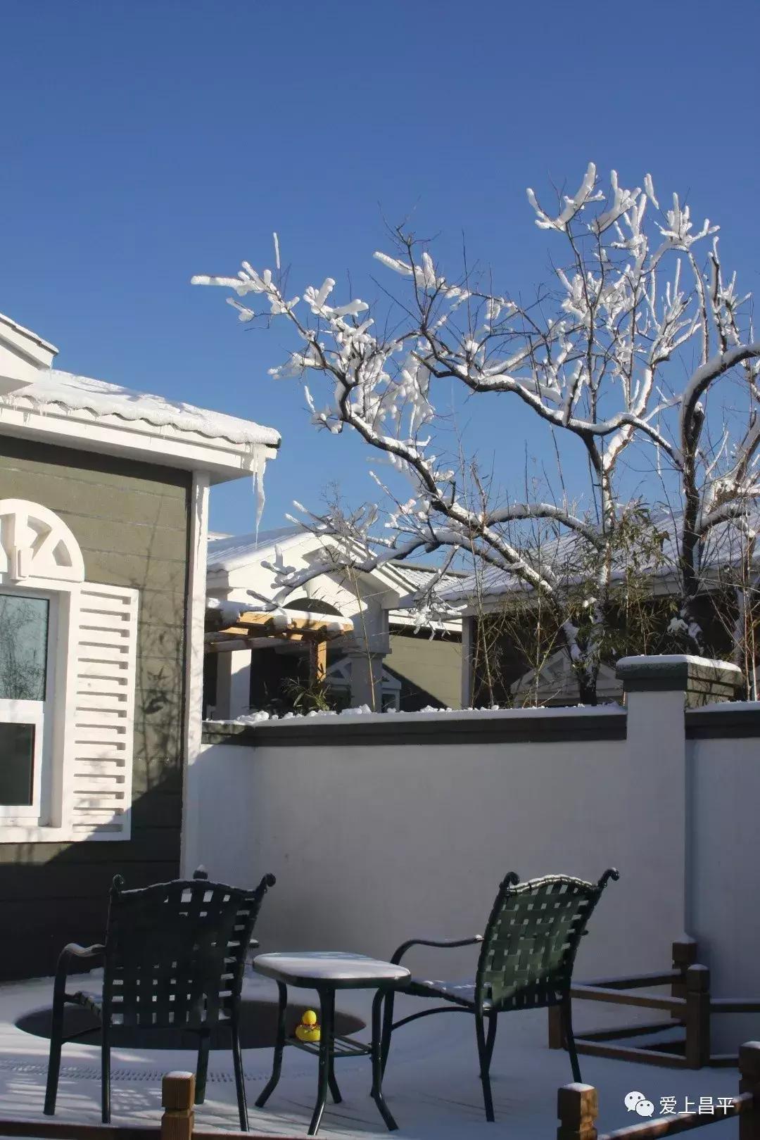 享受自家小院这悠闲时光,享受独处小院时光