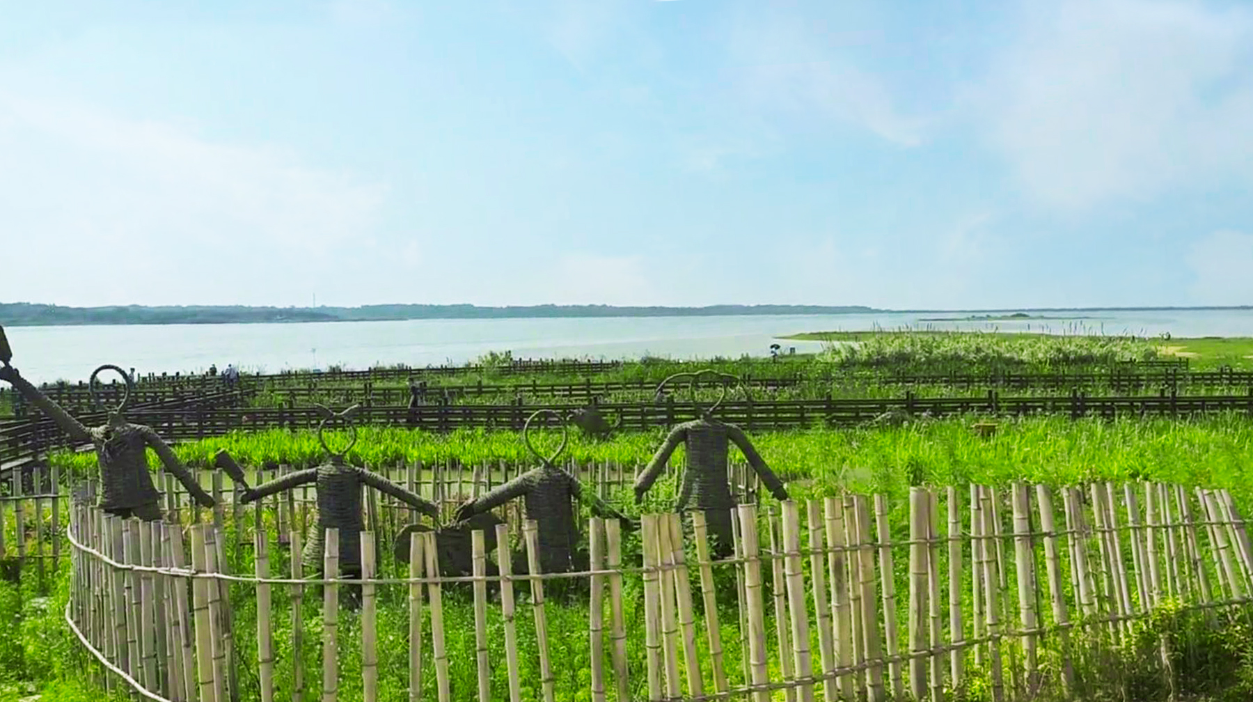 武汉绝美湿地公园,武汉东湖湿地公园景点