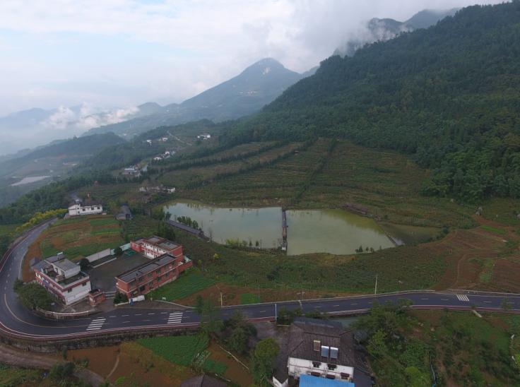 閲嶅簡涔℃潙缁垮寲缇庡寲寤鸿,缇庝附涔℃剚鍐滄潙缁垮寲缇庡寲