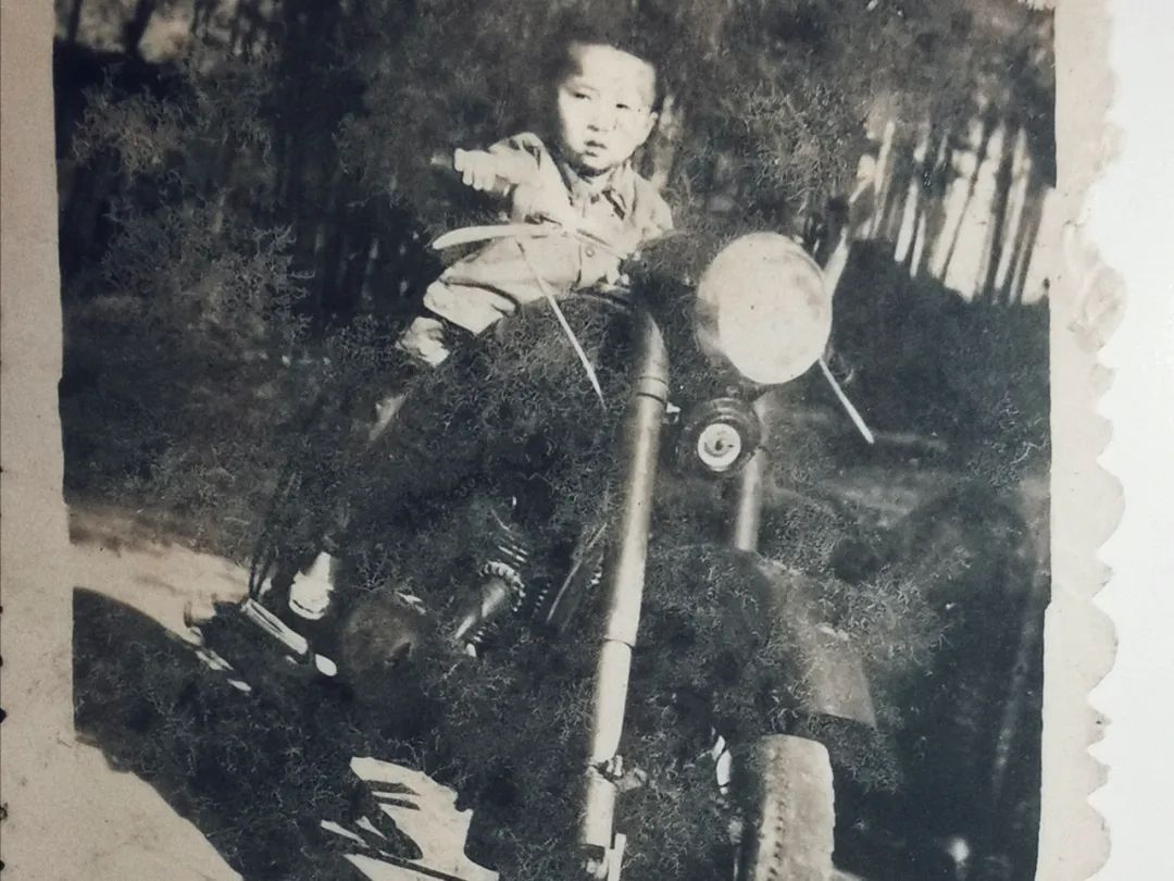 芙蓉树下麻辣烫是哪里的,芙蓉树下冒菜麻辣烫优惠