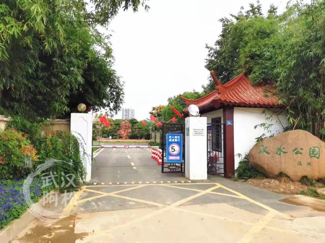 华丽转身开启人生新征程,华丽转身开启新的人生