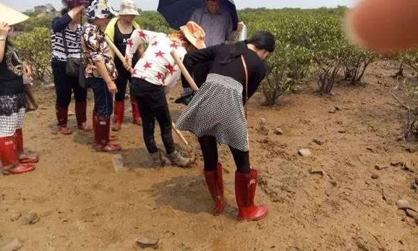 广西防城港这个小城市怎样,防城港最厉害的村