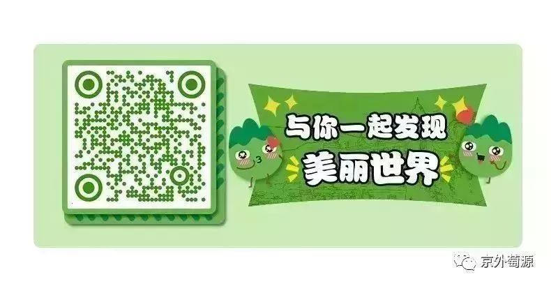 怎样美白最有效,美白的方法小窍门9种