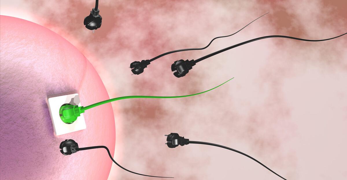 女性增强生育能力十种方法,生殖健康的标准是什么