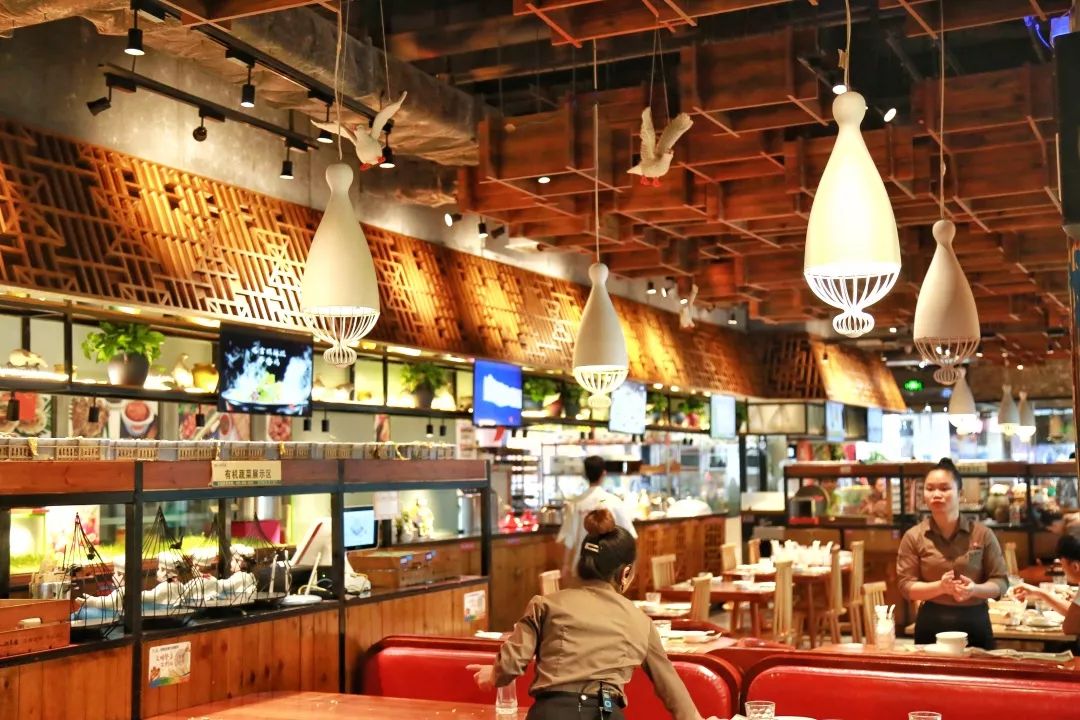 城市酒店好还是民宿好,度假酒店与城市酒店